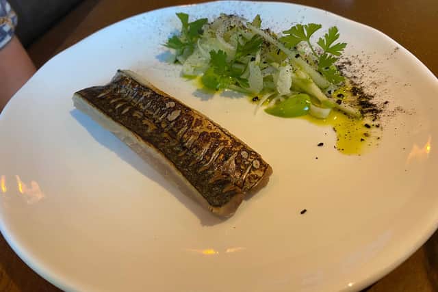 Charred mackerel, with fresh oyster mayonnaise, fennel, apple and cucumber salad.