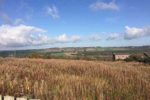 Land south of Broomhouse Lane in Prudhoe has been earmarked for housing. Picture by Gordon Stewart.