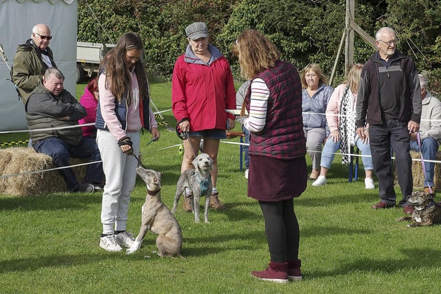It was the first time a dog show has been part of Belford Show.