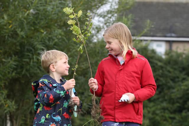 Northumberland County Council is offering 15,000 free trees to residents, schools and community groups.