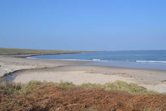 The beach view from the Low Newton property. Picture: George F White