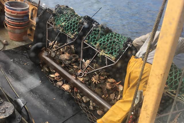 Scallop fishing vessels have been banned from dredging. Picture: NIFCA