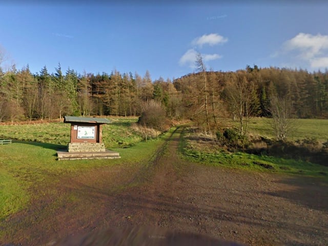Hepburn Wood, near Chatton, offers broad, sweeping vistas across the Northumberland countryside.