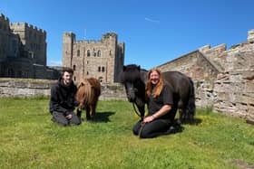 Lisa Walker with Marley (right) and Alex Walker with Smurf at Bamburgh Castle.