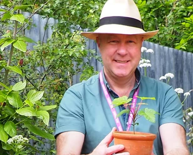 The National Trust's director of gardens and parklands, Andy Jasper, showed off the first Sycamore Gap seedling at the Chelsea Flower Show last week. (Photo by Ann-Marie Powell)