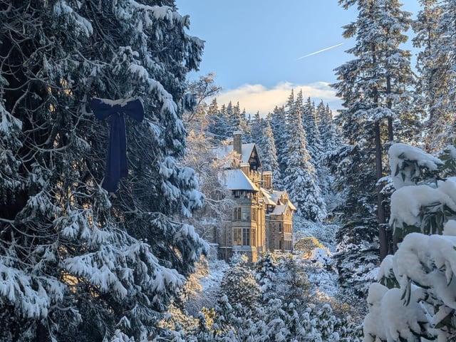 Cragside boasts a score of 4.81 (9,429 reviews). One review said: "The mix of Victorian engineering, hydroelectric history and peaceful woodland walks makes it feel really special."