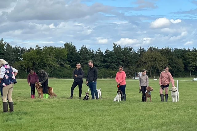 The dog show was quite a popular event as families entered their dogs for all sorts of categories including waggiest tail and best trick.