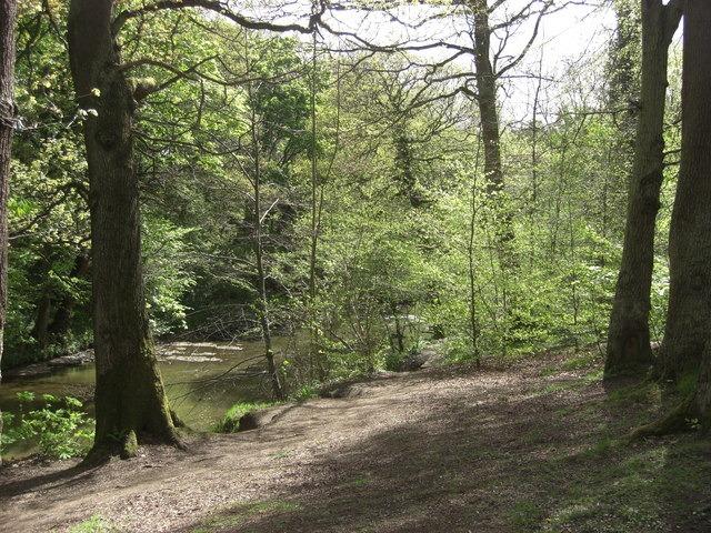 Plessey Woods, Bedlington, benefits from 100 acres of enchanting woodland, wild-flower meadows, beautiful sights of the River Blyth and a visitor centre with a cafe, making for a delightful day out.