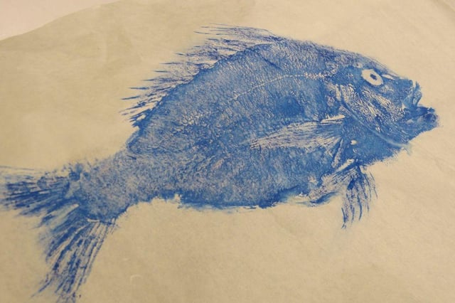 Fish printing workshops celebrating Gyotaku, a traditional form of Japanese art, will take place at the Old Low Light Heritage Centre.