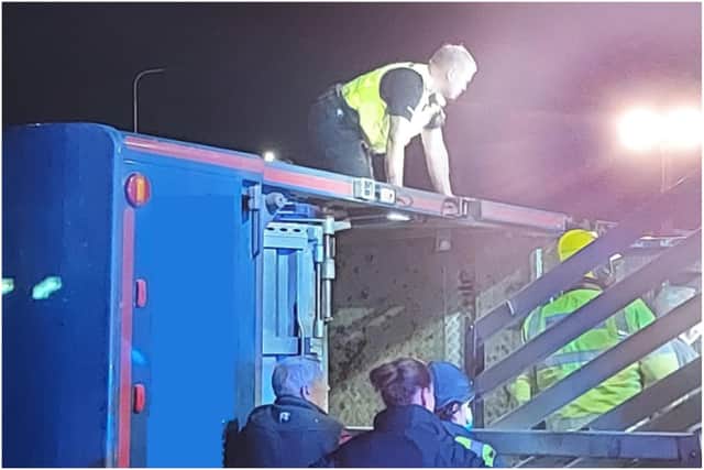 Special constable Michael Scott on top of the overturned lorry as he worked to help the trapped farm animals inside.