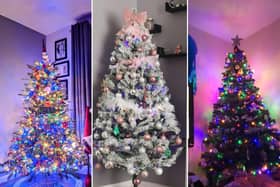 Readers have been getting into the Christmas spirit with their decorations.