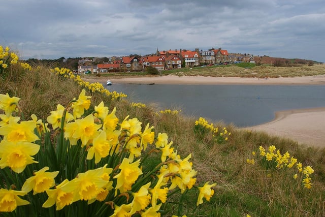 Diane Raybould: "Alnmouth beach opposite Church Hill were my husband proposed to me."