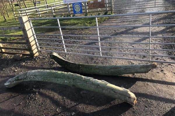 After being stolen from Seahouses First School, the whalebones were dumped near North Sunderland Football Club.