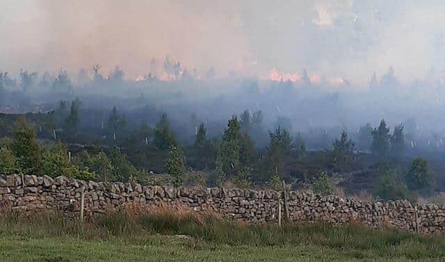 The fire took place in woodland, just north of Haydon Bridge on Sunday, May 31.
