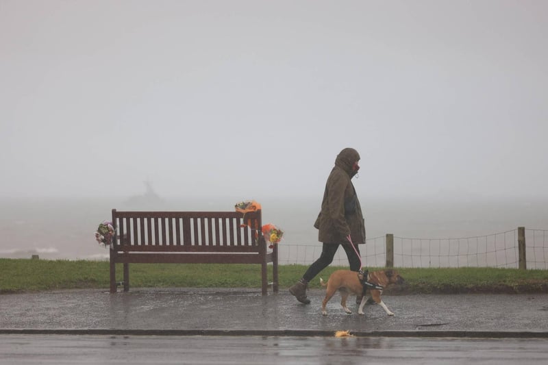 A dog walker at Tynemouth.