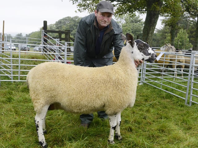 Ingram Show 2015 The show championship went to Jimmy Elliot of Branton Eastside with his Mule Ewe.
