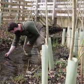 A newly created refuge has been set-up for white-clawed crayfish at Wallington. Picture: National Trust Images/Chris Johnson.