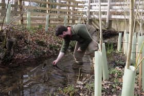 A newly created refuge has been set-up for white-clawed crayfish at Wallington. Picture: National Trust Images/Chris Johnson.