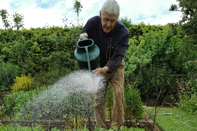 Watering sweet corn and peas. Picture courtesy of Tom Pattinson.