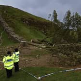 The Sycamore Gap tree was chopped down sometime late on Wednesday night or early on Thursday morning. (Photo by Jeff J Mitchell/Getty Images)
