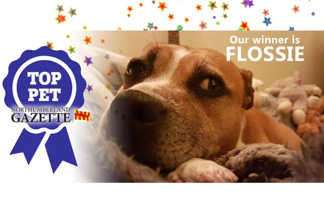 Flossie is the winner of our Top Pet competition!