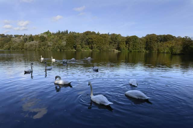 Bolam Lake Country Park is closed due to storm damage. (Photo by Jane Coltman)