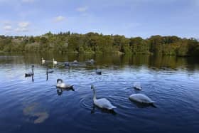 Bolam Lake Country Park is closed due to storm damage. (Photo by Jane Coltman)