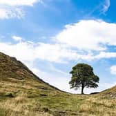 Sycamore Gap, Hadrian's Wall, before it was cut down. Picture: Pixabay.