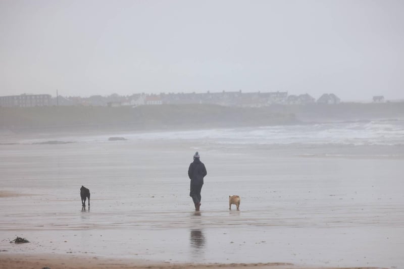 Walking the dogs on Tynemouth beach.