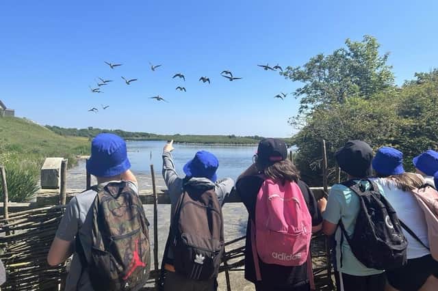 Pupils watching the Canada geese flying over the pond at Hauxley.