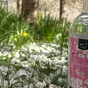 Cherry Blossom Gin at the Alnwick Garden.