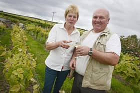 John and Pauline Clough in the vineyard at Adderstone House. Picture by Jane Coltman.