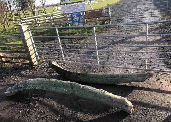 The whalebones were stolen and later dumped near North Sunderland Football Club.