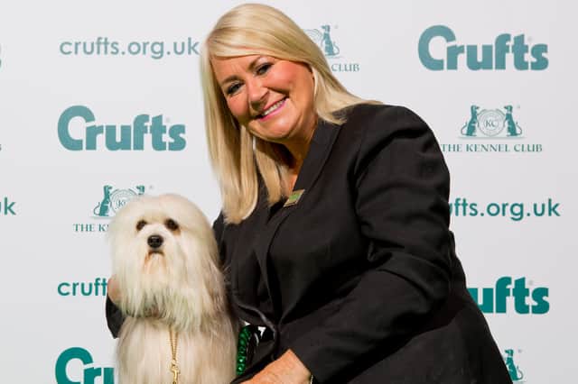 Double Best in Breed winner in the Lowchen group at Crufts, Jacob, with his owner Joanne Graham.