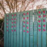 Hand-painted poppies on the remembrance fence in Longhoughton.