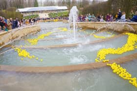 A Duck Race in the Grand Cascade at The Alnwick Garden.