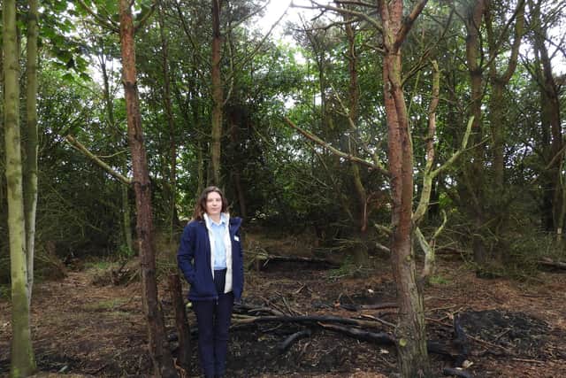 Sophie Irving, Hauxley Wildlife Discovery Centre's information assistant, at the site of the woodland fire.