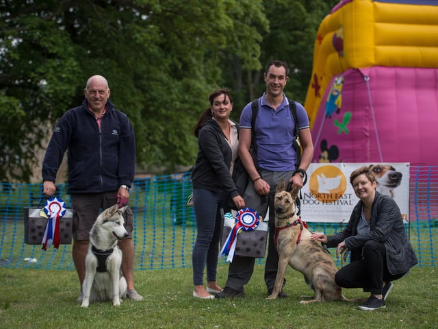 Best in Show at the Morpeth Fair Day dog show in 2017 was Duke the crossbreed, right, and Reserve Best in Show was Saskia the husky.