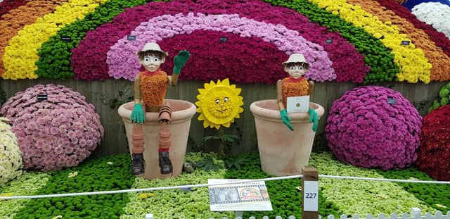 Chrysanth Society display. Picture by Tom Pattinson
