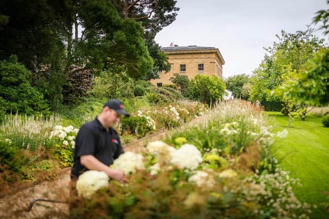The gardens team at Belsay have worked tirelessly to plant over 80,000 new plants.