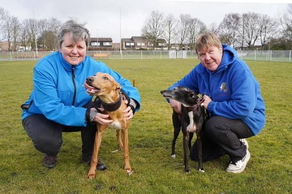 Pauline and Pat from Cramlington charity Dogs First try out the new dog park.