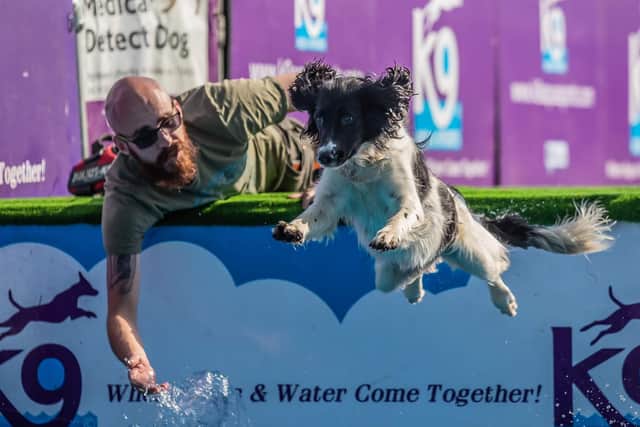 A new addition this year is the K9 Aqua Zone team, who will bring a huge dock diving pool.