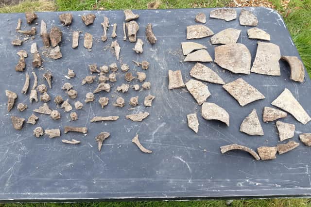 Pottery and fish bones found on the site.