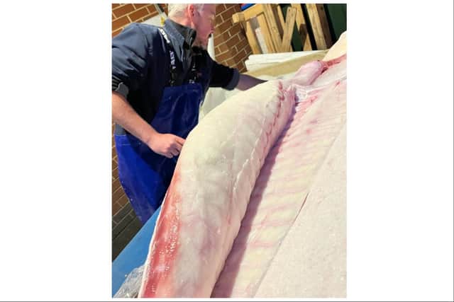 The giant halibut took two days to prepare.