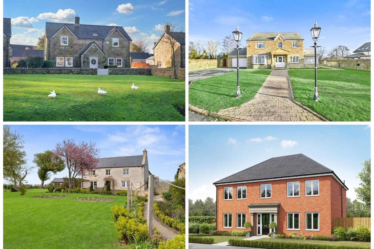 15 of the best homes to have hit the market in Northumberland so far this year 