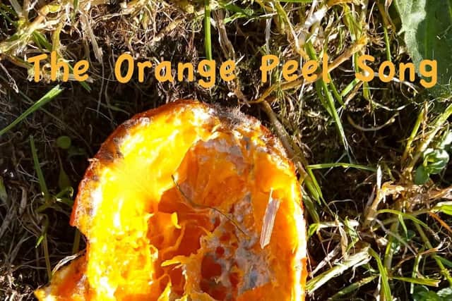 The Orange Peel Song by James Tait.