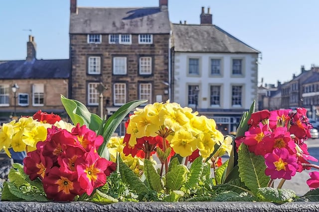 Floral displays in Alnwick.