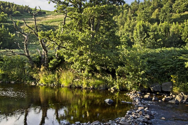 Another free attraction in Northumberland which provides stunning views and plenty of walking routes. Ingram village sits in Breamish Valley, where tumbling waterfalls, picturesque river banks and rolling hills make it the perfect place to put down your picnic basket.