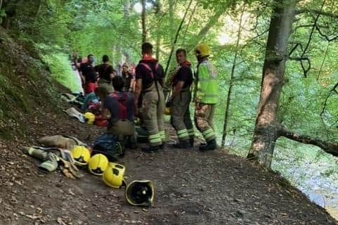 Rescue teams on the woodland path.