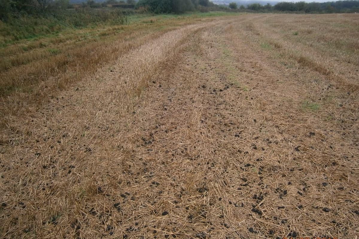 Land spreading reminder after farmer fined for spreading sewage sludge on wrong field 